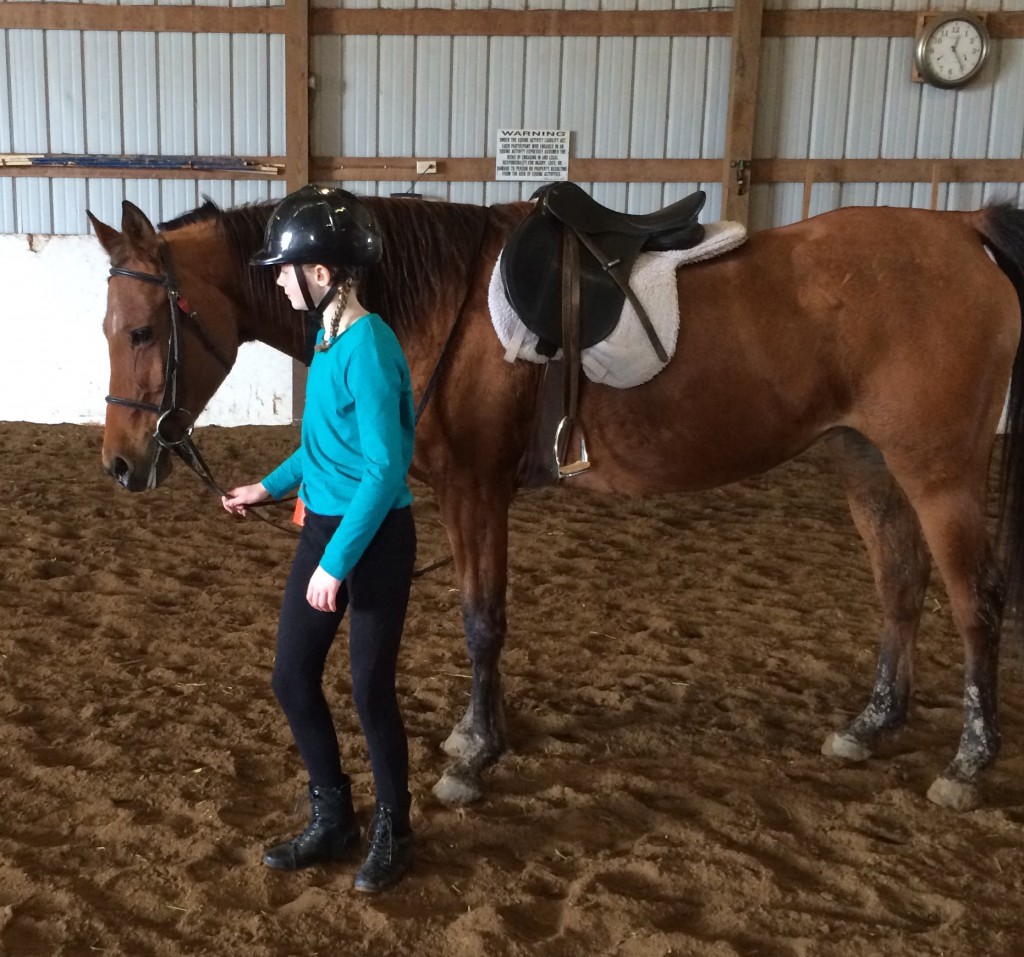 Horseback Riding Lessons – Four B Farm